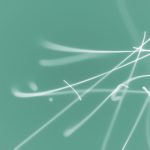 在线有码中文 03uh7pu6q