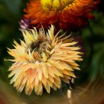 成年性视频在线视频 0dgj207osf