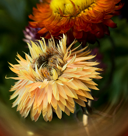 成年性视频在线视频 成年性视频在线视频