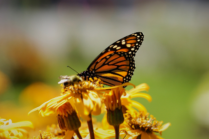 漫蛙 漫画,漫蛙漫画官方页面漫画入口 漫蛙 漫画,漫蛙漫画官方页面漫画入口