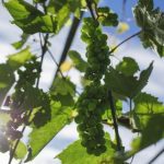 男神插曲女生的里面视频 13vfpu