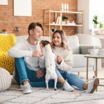 漫蛙防走失站七十二漫画,漫蛙漫画网防走失标签 14treyut