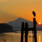 偷偷鲁2019丫丫久久 30fldy