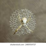 在线欧美精品视频二区 4zdqk5d3c