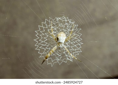 在线欧美精品视频二区 在线欧美精品视频二区