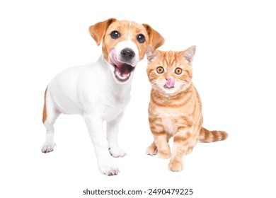 欧美视频专区一二在线观看 欧美视频专区一二在线观看