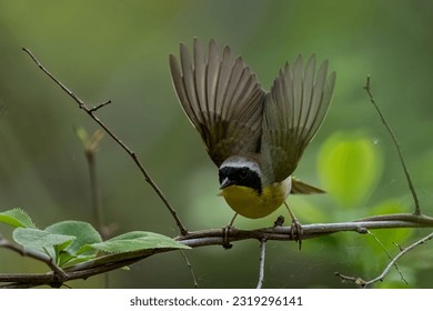 狠狠色狠狠色综合 狠狠色狠狠色综合