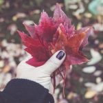 欧美日韩视频高清一区 6zpsusou