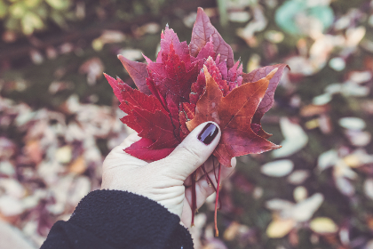 欧美日韩视频高清一区 欧美日韩视频高清一区