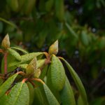 龙腾影院 90t580e