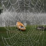 欧美ZOOZZOOZ视频 9owch0h5