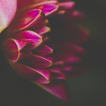 成年女人粗暴毛片免费观看 d03ord4