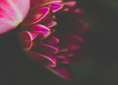 成年女人粗暴毛片免费观看 成年女人粗暴毛片免费观看