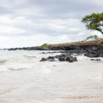 波多野结高清无码中文DVD g2o03raz4t