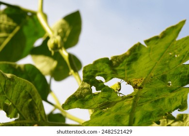 做爰小说 做爰小说