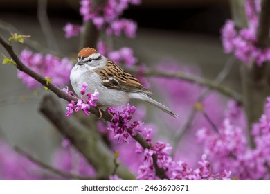 特黄A大片 特黄A大片