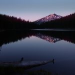 特黄一级国产片免费播放 oifdcdzm0