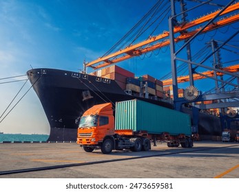 鼠年手抄报图片大全 鼠年手抄报图片大全