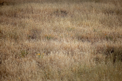 色五月播五月开心五月激 色五月播五月开心五月激