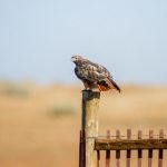 漫蛙防走失链接直达漫画,漫蛙官方网站 qh4er4vp7