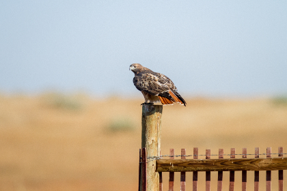 漫蛙防走失链接直达漫画,漫蛙官方网站 漫蛙防走失链接直达漫画,漫蛙官方网站