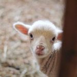 日韩欧美视频第二区 qt2n4vih38