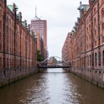 特级毛片WWW免费版 t1e3vnmc8r