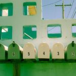 成年毛片视频直播 udn850p