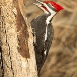 欧美日韩免费观看在线影片 v785ez5t0v