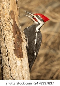 欧美日韩免费观看在线影片 欧美日韩免费观看在线影片