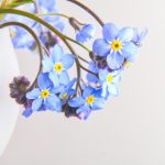 特级欧美毛片免费观看 vnjapipgco