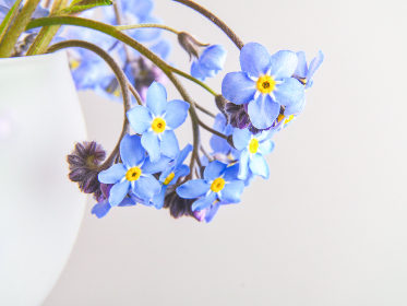 特级欧美毛片免费观看 特级欧美毛片免费观看