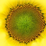 永久免费无码网站在线观看 xhu4hh881