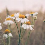 色五月狠狠月婷婷丁香红杏 xrczj