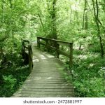 做完还要放在里面小说 z7o9a086