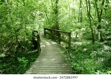 做完还要放在里面小说 做完还要放在里面小说