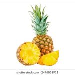 一同观看GV精彩内容,尽在第1页 0zg6f299wl