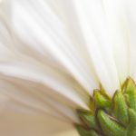 tbox login:轻松访问您的账户,享受无缝在线体验 6m03a