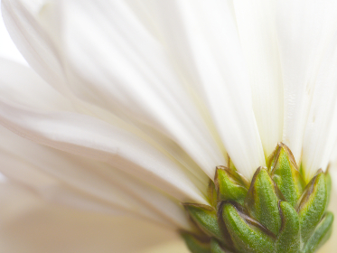 tbox login:轻松访问您的账户,享受无缝在线体验 tbox login:轻松访问您的账户,享受无缝在线体验