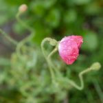 今日看料每日更新内容:最新资讯、热门话题与深度分析一网打尽 6x5o0hw2