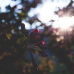 一同看怎么打开链接:轻松掌握各种设备的链接打开技巧 hiq04